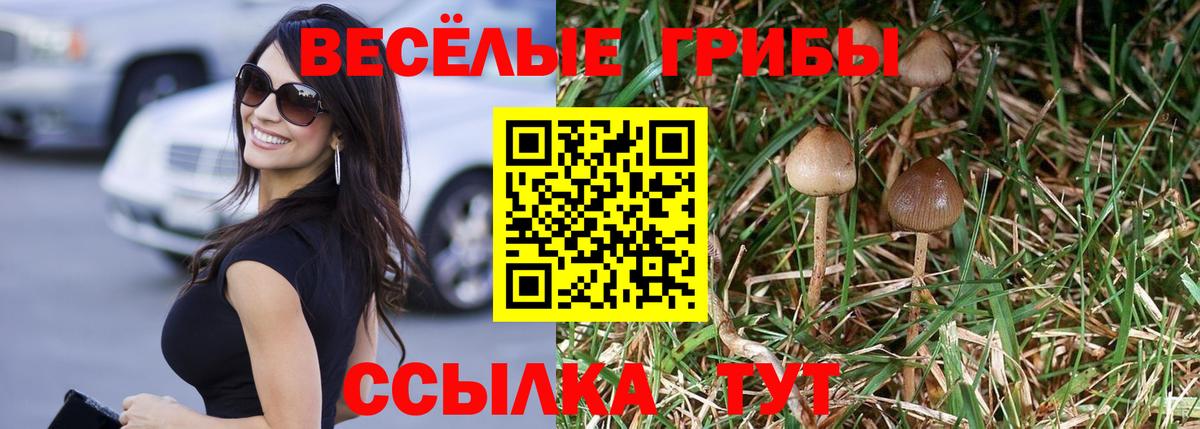 наркошоп  Псилоцибиновые грибы Psilocybine cubensis  Вход с VPN  Балаково 